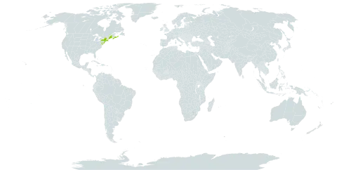 Amelanchier nantucketensis world distribution map, present in Canada and United States of America