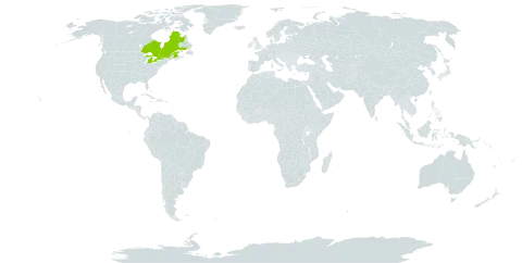 Amelanchier x quinti-martii world distribution map, present in Canada and United States of America