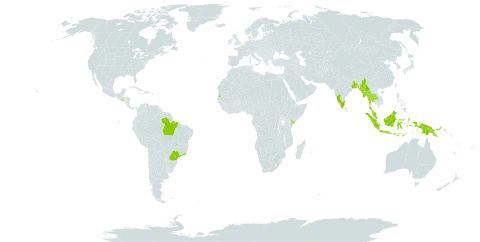 Amherstia nobilis world distribution map, present in Bonaire, Sint Eustatius and Saba, Bangladesh, Brazil, Indonesia, India, Iceland, Kenya, Sri Lanka, Myanmar, Northern Mariana Islands, Malaysia, Papua New Guinea, Singapore, El Salvador, Seychelles, and Thailand