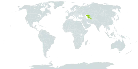 Ammodendron eichwaldii world distribution map, present in Kazakhstan, Turkmenistan, and Uzbekistan