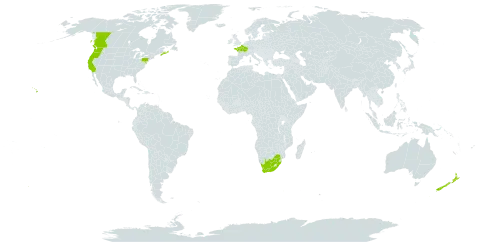 Ammophila arenaria world distribution map, present in Canada, France, New Zealand, United States of America, and South Africa