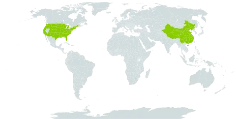 Amorpha world distribution map, present in China and United States of America