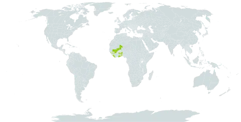 Amorphophallus johnsonii world distribution map, present in Benin, Ghana, Guinea, Liberia, and Mali