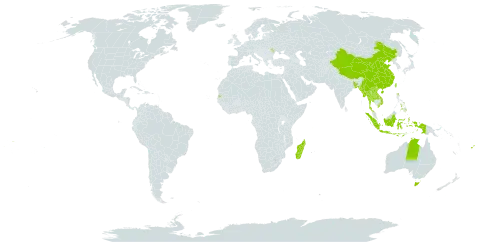 Amorphophallus paeoniifolius world distribution map, present in Andorra, Australia, Bangladesh, China, Cook Islands, Fiji, Indonesia, Lao People's Democratic Republic, Moldova (Republic of), Madagascar, Myanmar, Philippines, Seychelles, Thailand, Taiwan, Province of China, Viet Nam, and Samoa