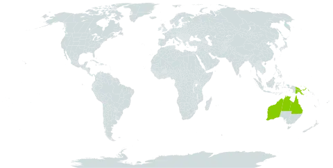 Ampelocissus acetosa world distribution map, present in Australia and Papua New Guinea