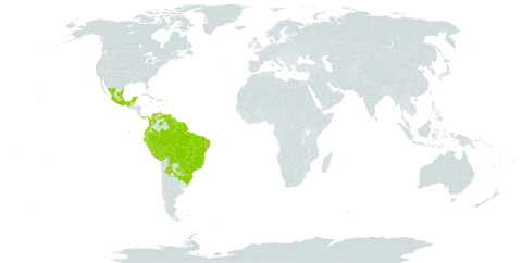 Amphilophium paniculatum world distribution map, present in Argentina, Belize, Bolivia (Plurinational State of), Brazil, Colombia, Dominica, Ecuador, Guadeloupe, French Guiana, Guyana, Mexico, Martinique, Panama, Peru, Paraguay, Suriname, Trinidad and Tobago, and Venezuela (Bolivarian Republic of)