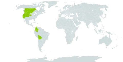 Amphiscirpus nevadensis world distribution map, present in Bolivia (Plurinational State of), Canada, Colombia, and United States of America