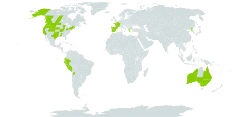 Amsinckia lycopsoides world distribution map, present in Australia, Bolivia (Plurinational State of), Canada, Ecuador, Spain, France, United Kingdom of Great Britain and Northern Ireland, Greece, Peru, Korea (Democratic People's Republic of), and United States of America