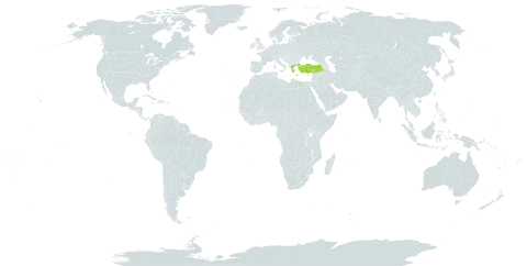 Amsonia orientalis world distribution map, present in Greece and Turkey