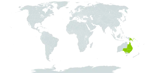 Amyema seemeniana world distribution map, present in Australia and Papua New Guinea