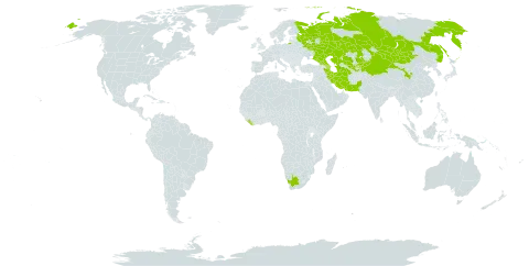 Anabasis aphylla world distribution map, present in Azerbaijan, China, Georgia, Iran (Islamic Republic of), Kazakhstan, Kyrgyzstan, Liberia, Mongolia, Pakistan, Russian Federation, Tajikistan, Turkmenistan, Uzbekistan, and South Africa