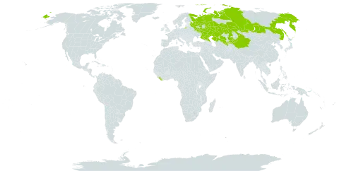 Anabasis cretacea world distribution map, present in China, Kazakhstan, Kyrgyzstan, Liberia, Russian Federation, and Uzbekistan