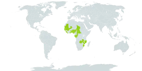 Anadelphia world distribution map, present in Benin, Central African Republic, Congo, Gabon, Ghana, Guinea, Gambia, Guinea-Bissau, Liberia, Mali, Mozambique, Mauritania, Nigeria, Senegal, Sierra Leone, Chad, Togo, and Zambia