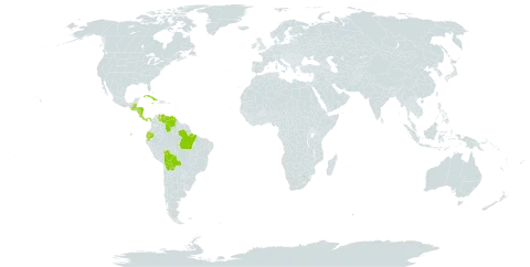 Anathallis sertularioides world distribution map, present in Belize, Bolivia (Plurinational State of), Brazil, Costa Rica, Cuba, Ecuador, Guatemala, Honduras, Jamaica, Nicaragua, Panama, and Venezuela (Bolivarian Republic of)