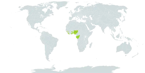 Ancistrorhynchus recurvus world distribution map, present in Congo, Gabon, Ghana, Guinea, Liberia, Nigeria, Togo, and Uganda