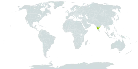 Andrographis beddomei world distribution map, present in India