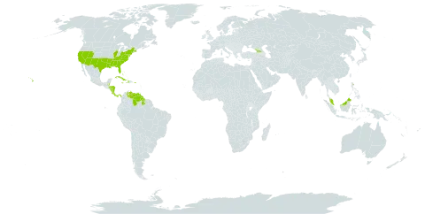 Andropogon glomeratus world distribution map, present in Åland Islands, Bahamas, Belize, Costa Rica, Cuba, Cayman Islands, Dominica, Georgia, Guyana, Honduras, Haiti, Jamaica, Malaysia, Nicaragua, Panama, Puerto Rico, United States of America, and Venezuela (Bolivarian Republic of)