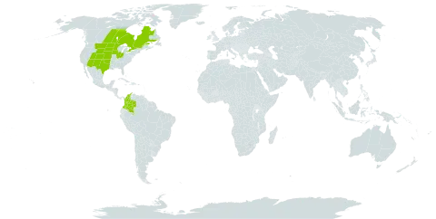 Andropogon hallii world distribution map, present in Canada, Colombia, and United States of America