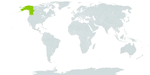 Androsace alaskana world distribution map, present in Canada and United States of America