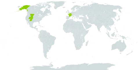 Androsace chamaejasme world distribution map, present in France and United States of America