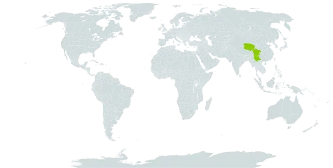 Androsace integra world distribution map, present in China