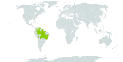 Anemia buniifolia world distribution map, present in Bolivia (Plurinational State of), Brazil, Colombia, Suriname, and Venezuela (Bolivarian Republic of)