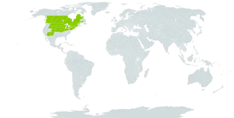 Anemone cylindrica world distribution map, present in Canada and United States of America