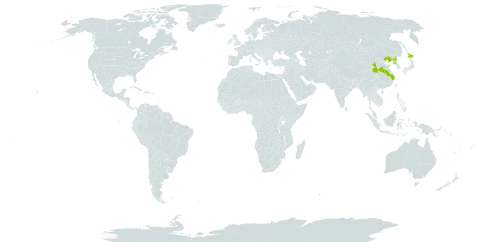 Anemone hepatica var. japonica world distribution map, present in China, Japan, and Korea (Democratic People's Republic of)