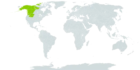 Anemone lithophila world distribution map, present in Canada and United States of America