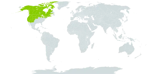 Anemone multifida world distribution map, present in Canada and United States of America