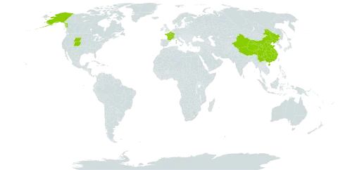 Anemone narcissiflora world distribution map, present in China, France, and United States of America