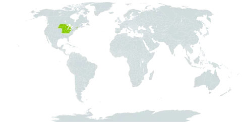 Anemonoides quinquefolia world distribution map, present in United States of America