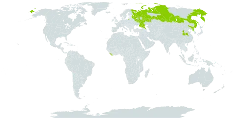 Anemonoides reflexa world distribution map, present in China, Liberia, Korea (Democratic People's Republic of), and Russian Federation