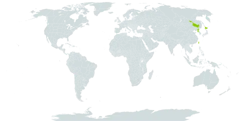 Anemonoides stolonifera world distribution map, present in China, Japan, Korea (Democratic People's Republic of), and Taiwan, Province of China