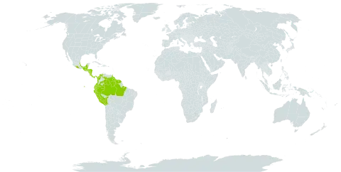 Anemopaegma chrysoleucum world distribution map, present in Belize, Bolivia (Plurinational State of), Brazil, Colombia, Costa Rica, Ecuador, Guatemala, French Guiana, Guyana, Honduras, Mexico, Nicaragua, Panama, Peru, Suriname, Trinidad and Tobago, and Venezuela (Bolivarian Republic of)