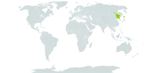 Angelica anomala world distribution map, present in China, Japan, Liberia, Korea (Democratic People's Republic of), and Russian Federation