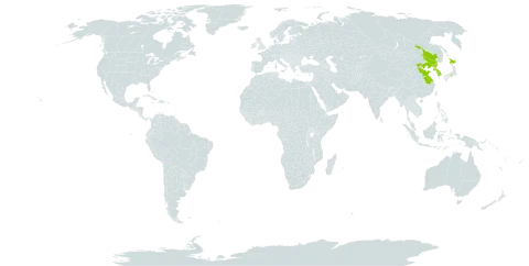 Angelica cartilaginomarginata world distribution map, present in China, Japan, Korea (Republic of), and Korea (Democratic People's Republic of)