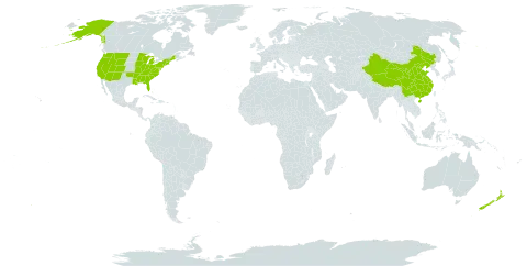 Angelica world distribution map, present in China, New Zealand, and United States of America