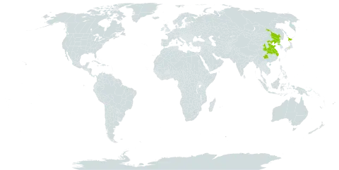 Angelica polymorpha world distribution map, present in China, Japan, and Korea (Democratic People's Republic of)