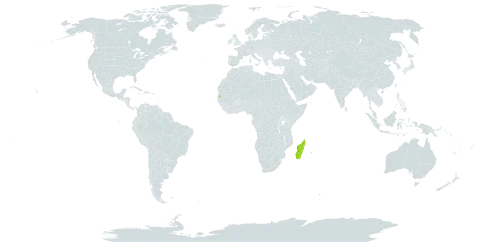 Angraecum multiflorum world distribution map, present in Madagascar, Mauritius, Réunion, and Seychelles