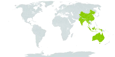 Anisomeles malabarica world distribution map, present in Andorra, Australia, Bangladesh, China, Indonesia, India, Myanmar, Mauritius, Malaysia, Réunion, Thailand, and Timor-Leste