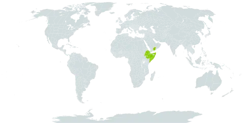 Anisotes trisulcus world distribution map, present in Ethiopia, Saudi Arabia, Somalia, and Yemen