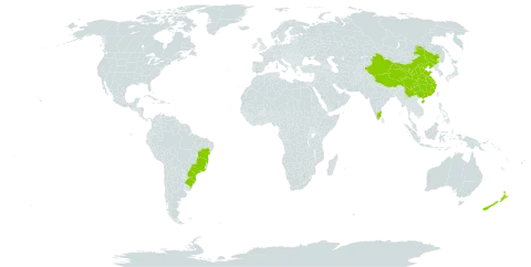 Annona cherimola world distribution map, present in American Samoa, Brazil, China, India, Sri Lanka, New Zealand, and United States of America