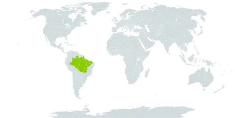 Annona exsucca world distribution map, present in Brazil