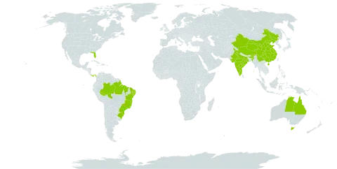 Annona glabra world distribution map, present in Australia, Brazil, China, India, Panama, and United States of America