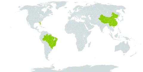 Annona montana world distribution map, present in Brazil, China, and United States of America