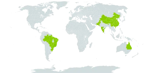 Annona muricata world distribution map, present in Australia, Brazil, China, India, Sri Lanka, Pakistan, and United States of America