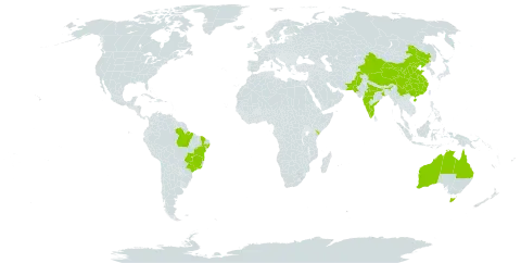 Annona reticulata world distribution map, present in Australia, Brazil, China, India, Kenya, and Pakistan