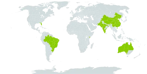 Annona squamosa world distribution map, present in Australia, Brazil, China, India, Kenya, Pakistan, and United States of America