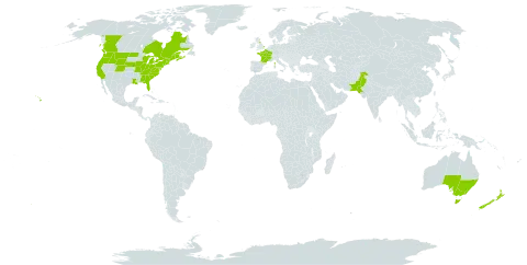 Anthemis arvensis world distribution map, present in Australia, Canada, France, United Kingdom of Great Britain and Northern Ireland, New Zealand, Pakistan, and United States of America